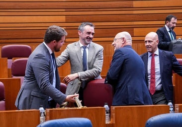 Sólo Vox pide derogar el decreto de la Memoria Histórica de Castilla y León