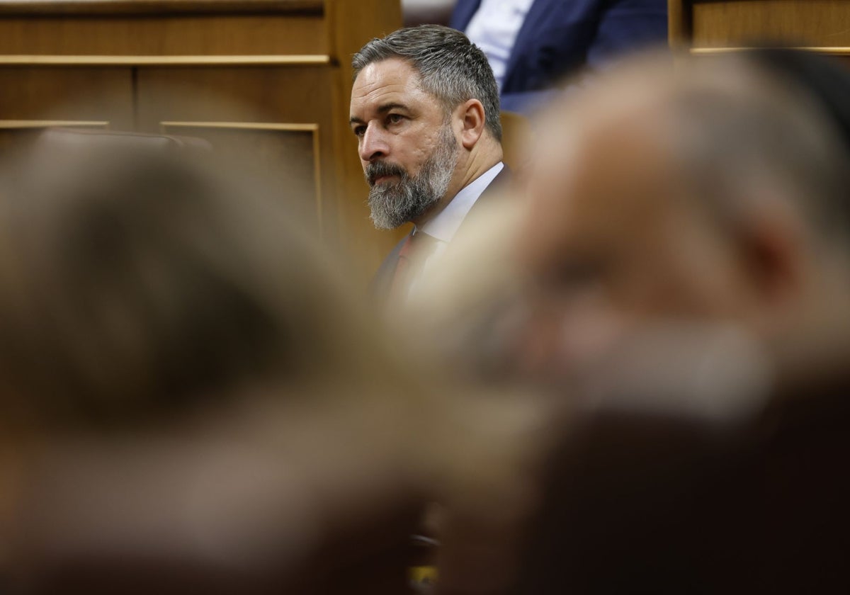 El líder de Vox, Santiago Abascal, en el Congreso