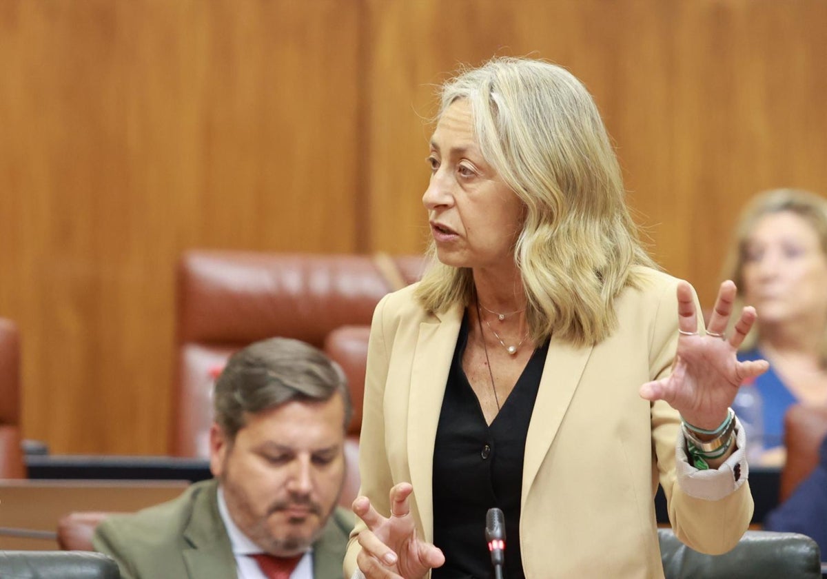 La consejera andaluza de Salud y Consumo, Rocío Hernández, en el Pleno del Parlamento andaluz