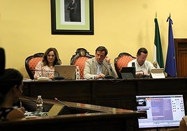 El Pleno de Lucena exige, por unanimidad, al Gobierno central que mantenga el Juzgado de la Mujer