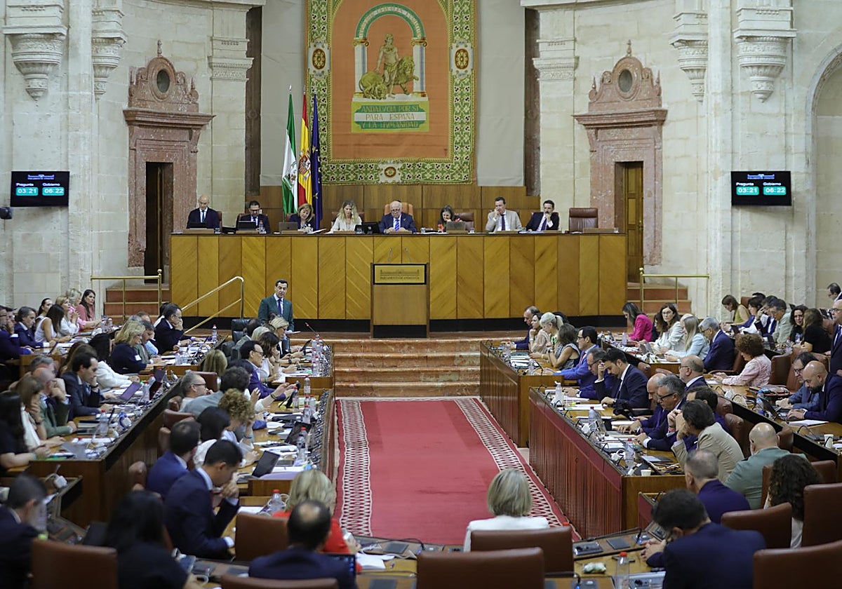 Una imagen del pleno del Parlamento