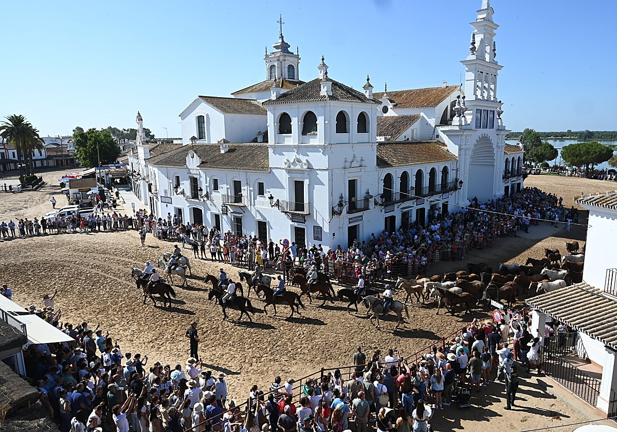Paso de yeguas y potros por la aldea del Rocío