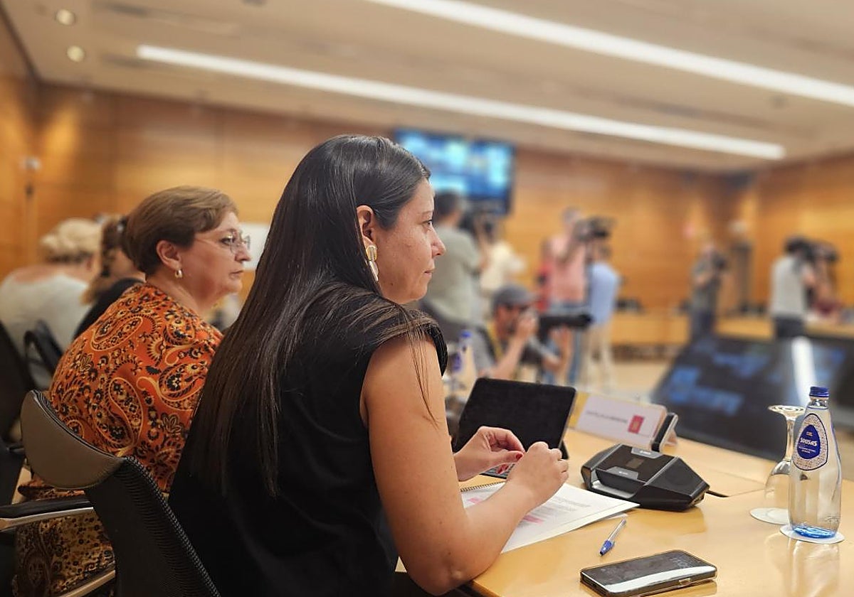 La consejera García Torijano en primer plano, durante la Conferencia Sectorial celebrada en Madrid