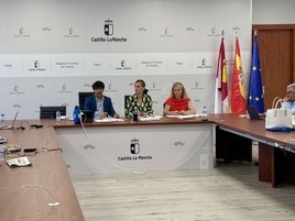Tres plantas fotovoltaicas, y una fábrica de palets, nuevos proyectos urbanísticos en la provincia de Toledo