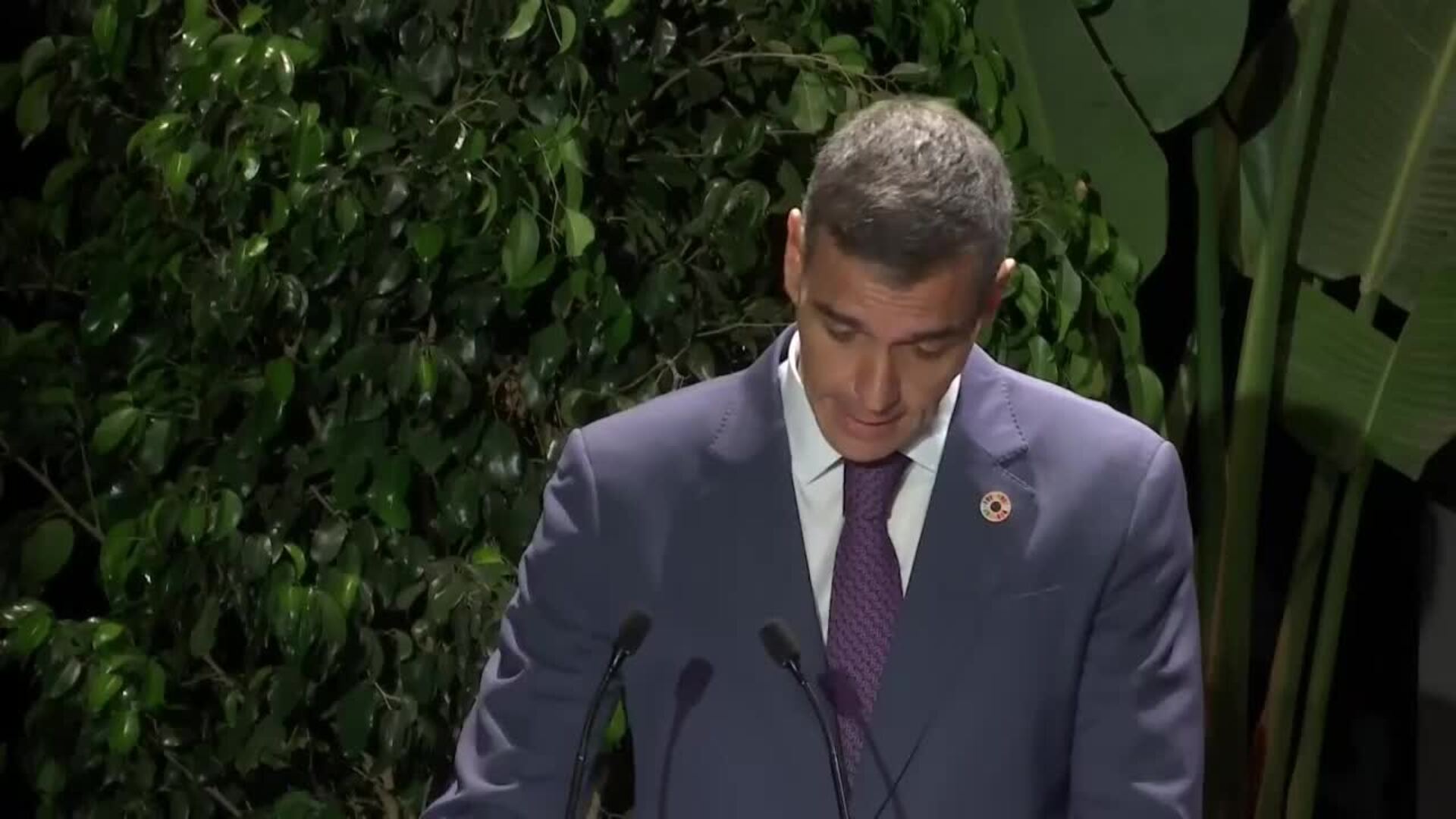 Sánchez considera la cumbre de Sevilla &quot;el momento de la verdad&quot; para ayudar al desarrollo