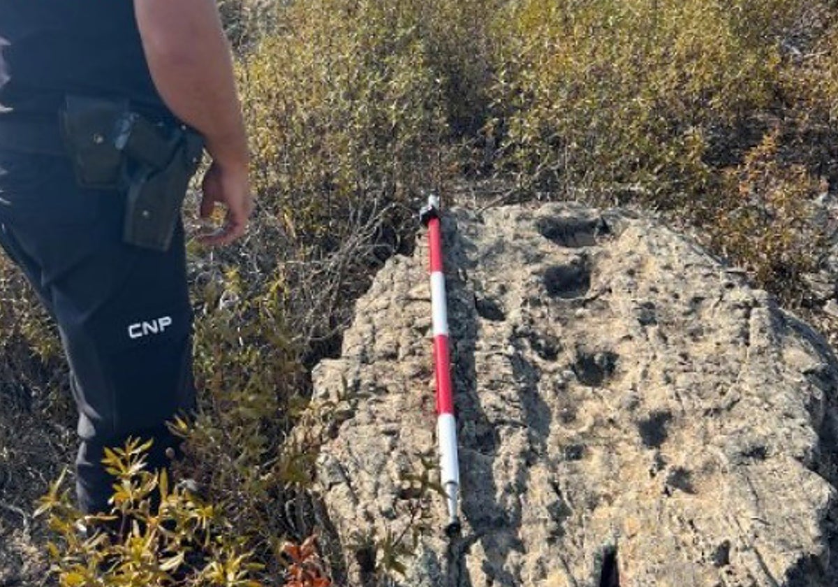 Imagen del bloque de cuarcita recuperado en un yacimiento megalítico de la Costa Occidental de Huelva