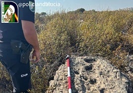 Descubren en Huelva un nuevo yacimiento megalítico y un bloque de cuarcita con grabados rupestres