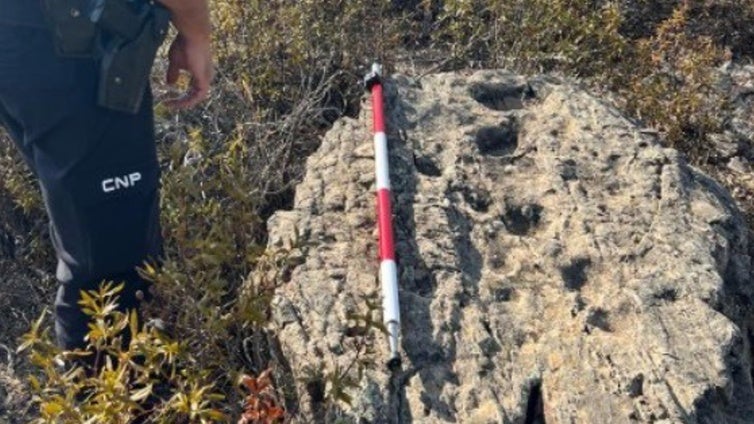 Descubren en Huelva un nuevo yacimiento megalítico y un bloque de cuarcita con grabados rupestres
