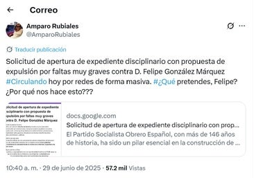 Amparo Rubiales borra el tuit de la recogida de firmas para echar a Felipe González del PSOE y luego acusa a ABC de mentir por haberlo sacado