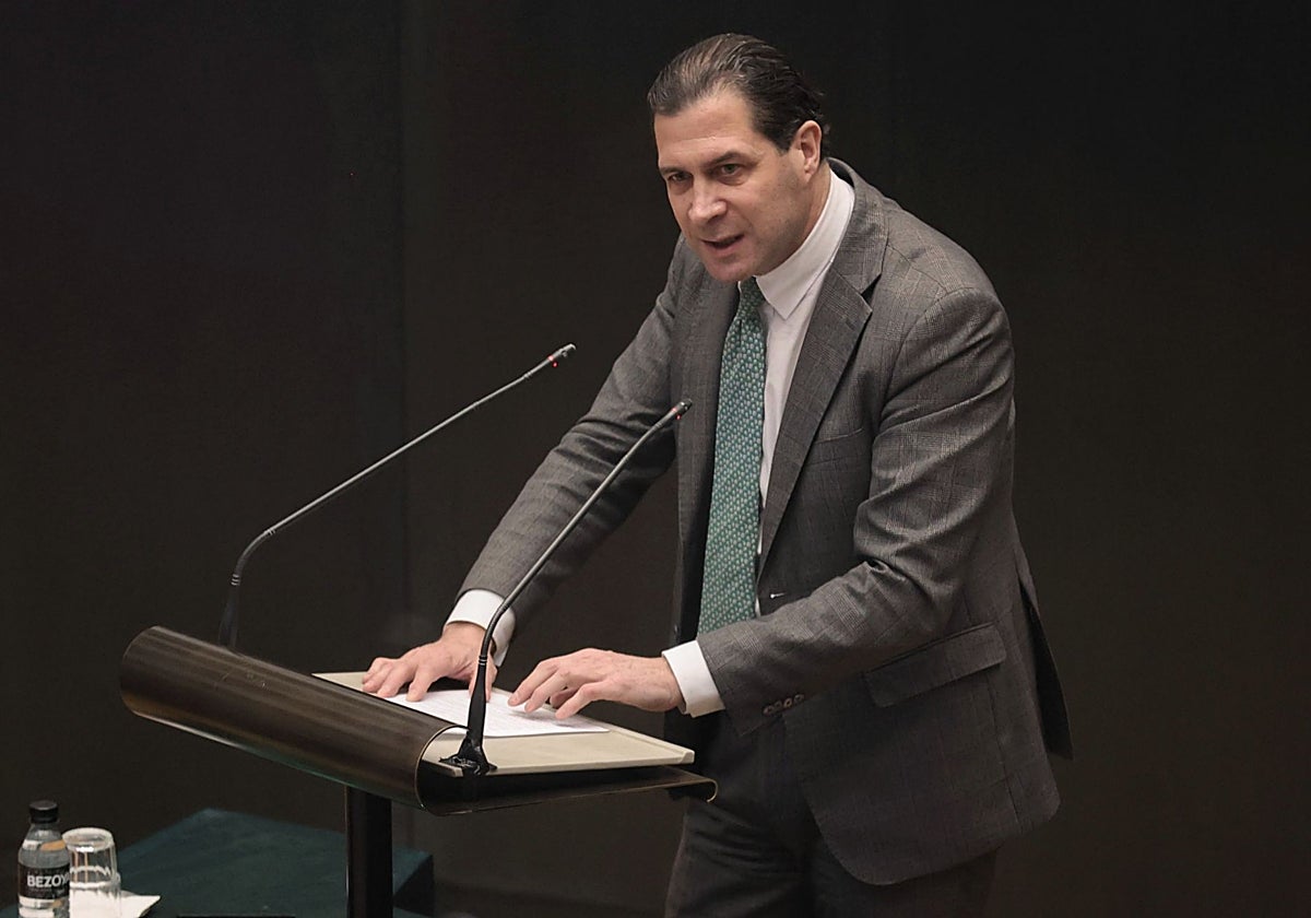 El diputado de Vox Pedro Fernández