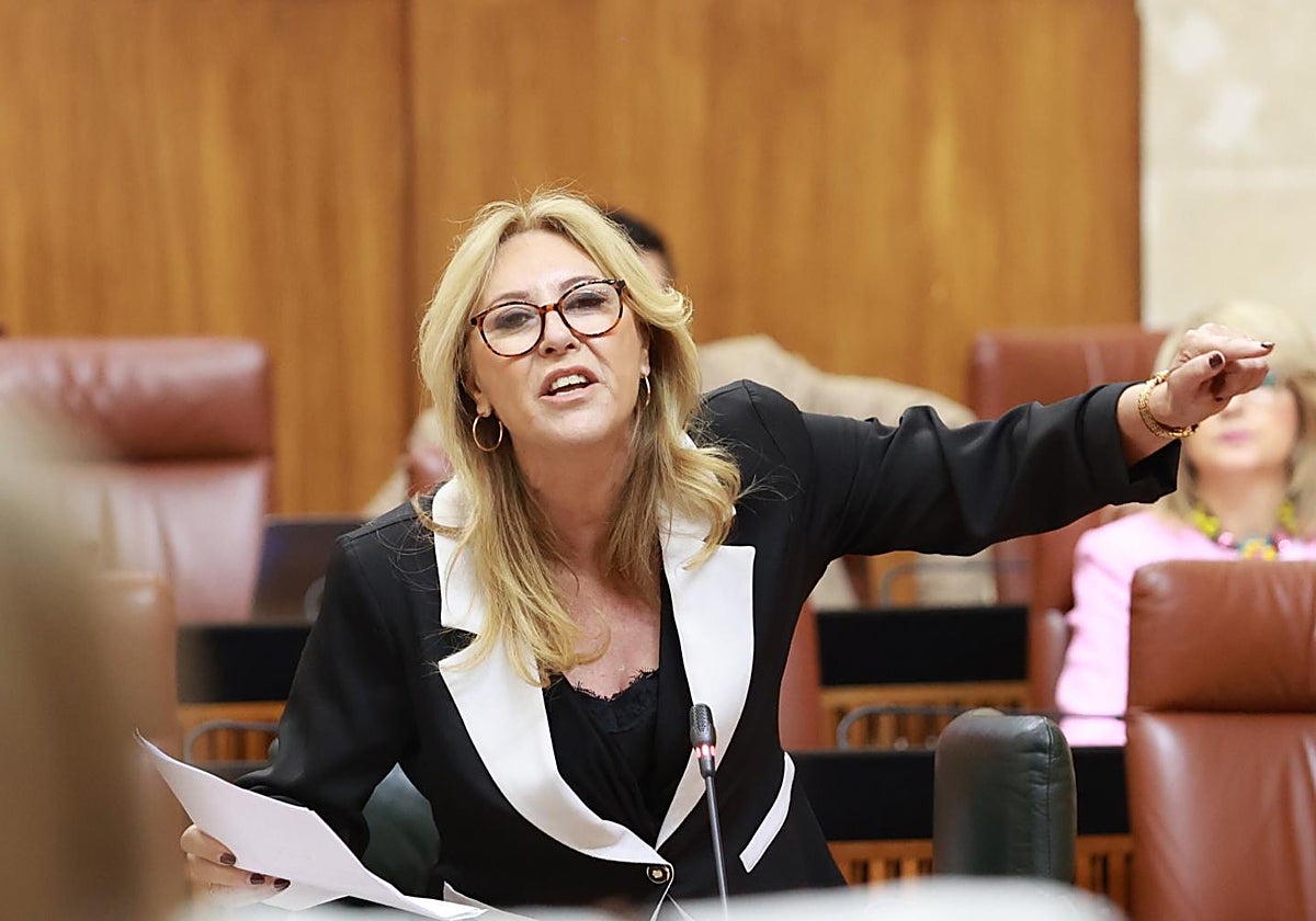 La consejera andaluza de Economía, Carolina España, en el Parlamento andaluz