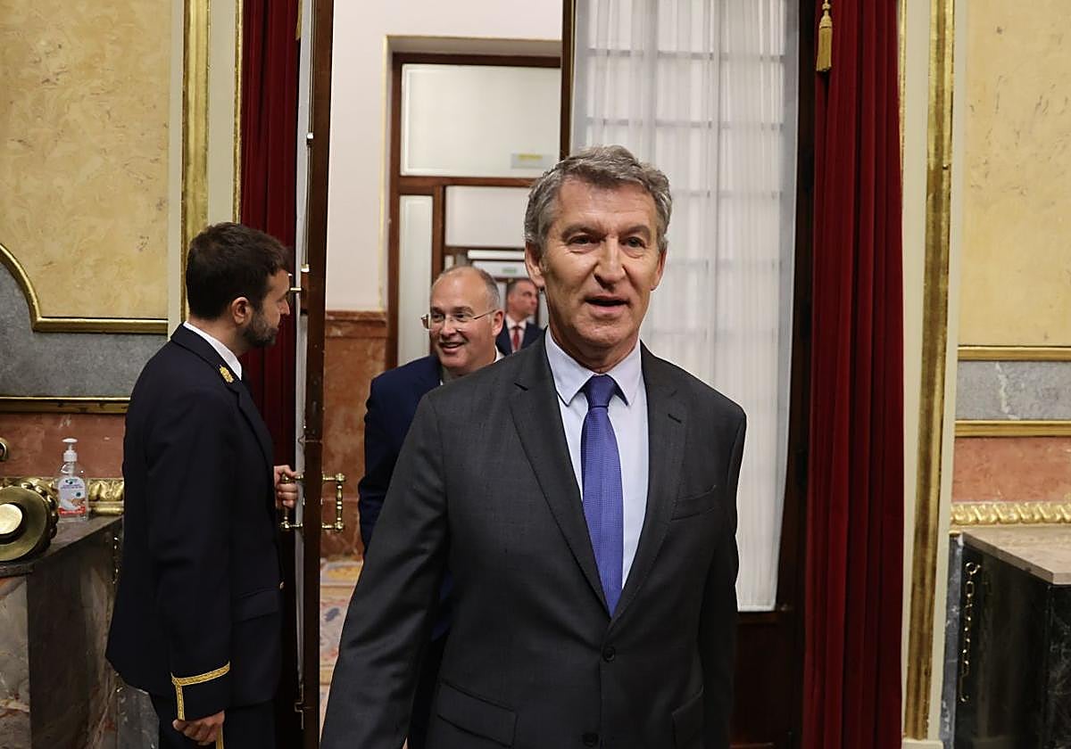 El líder del PP, Alberto Núñez Feijóo, en el Congreso