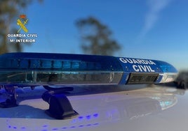 Cinco detenidos por robar jamones y bebidas alcohólicas en Huelva