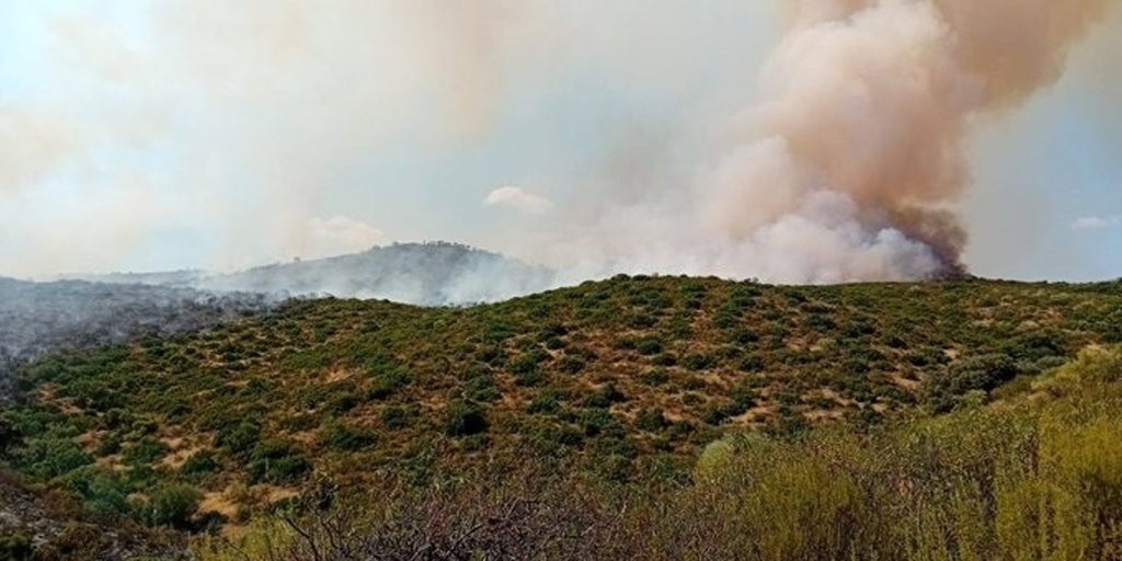 El incendio forestal en la Sierra de Andújar queda estabilizado