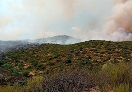 El incendio forestal en la Sierra de Andújar queda estabilizado