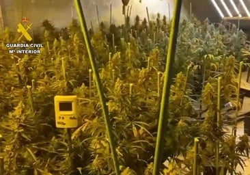 Detenidas nueve personas por tráfico de drogas y pertenecer a un grupo criminal en Yuncler