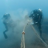 Retiran una red de pesca de un kilómetro perdida en un fondo marino protegido de Calpe y que afectó a 15 especies