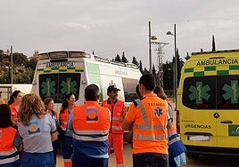 Cinco heridos al chocar un coche contra un jabalí en la A-92 a su paso por Granada