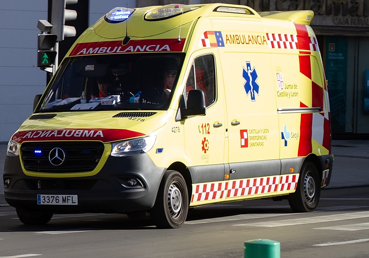 Muere un hombre tras caerle un árbol encima durante una tormenta en León