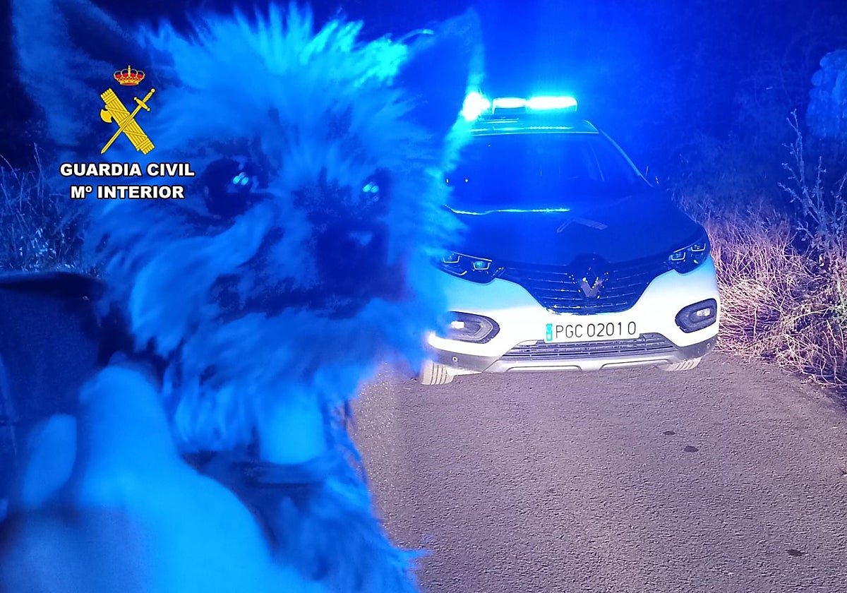 Lucas es el nuevo héroe de Balbuente