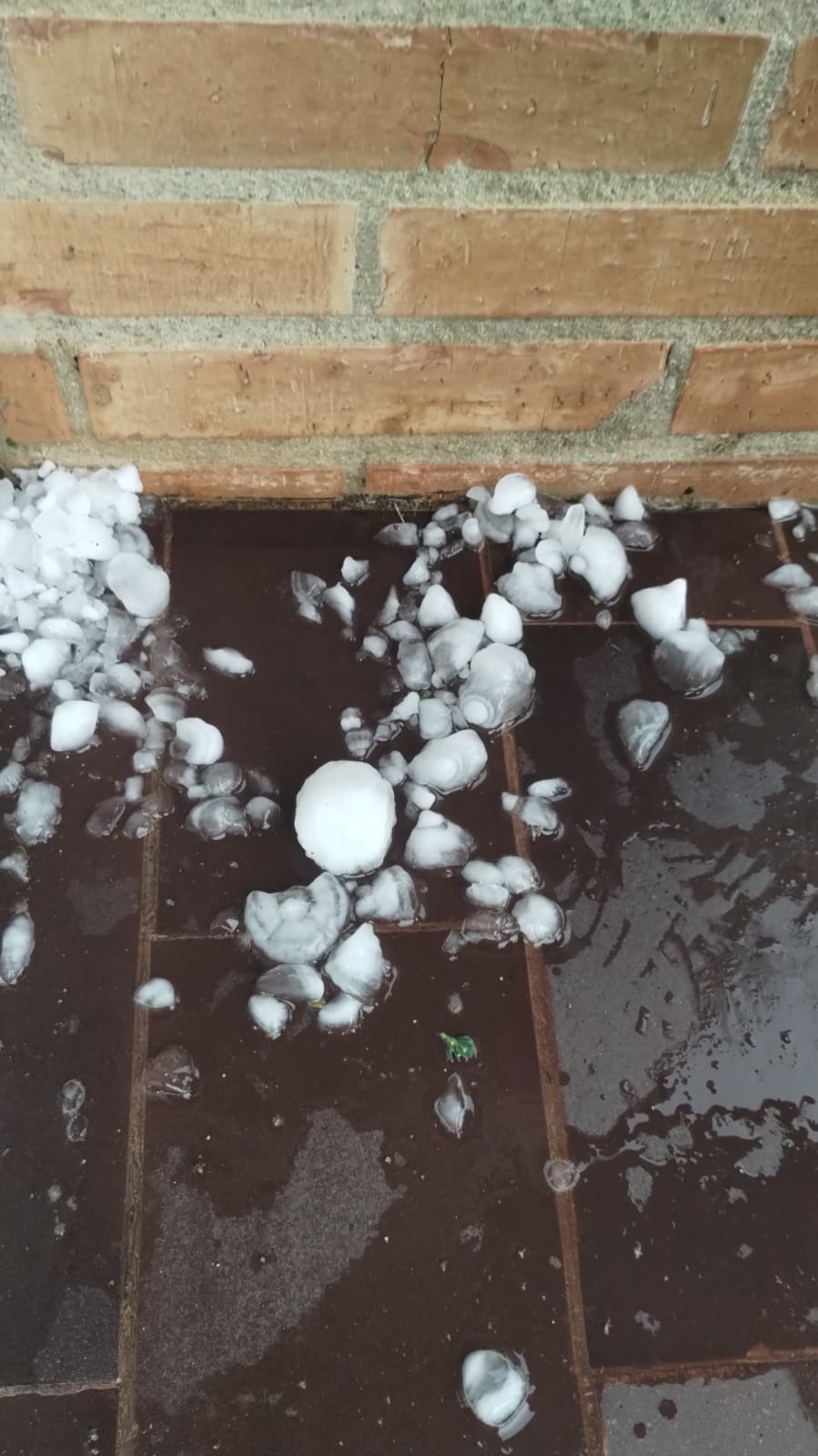 Imagen del pedrisco que cayó en la localidad palentina de Osorno