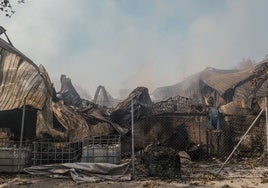 Levantadas las recomendaciones de autoprotección en cinco municipios de Guadalajara tras el incendio de Azuqueca