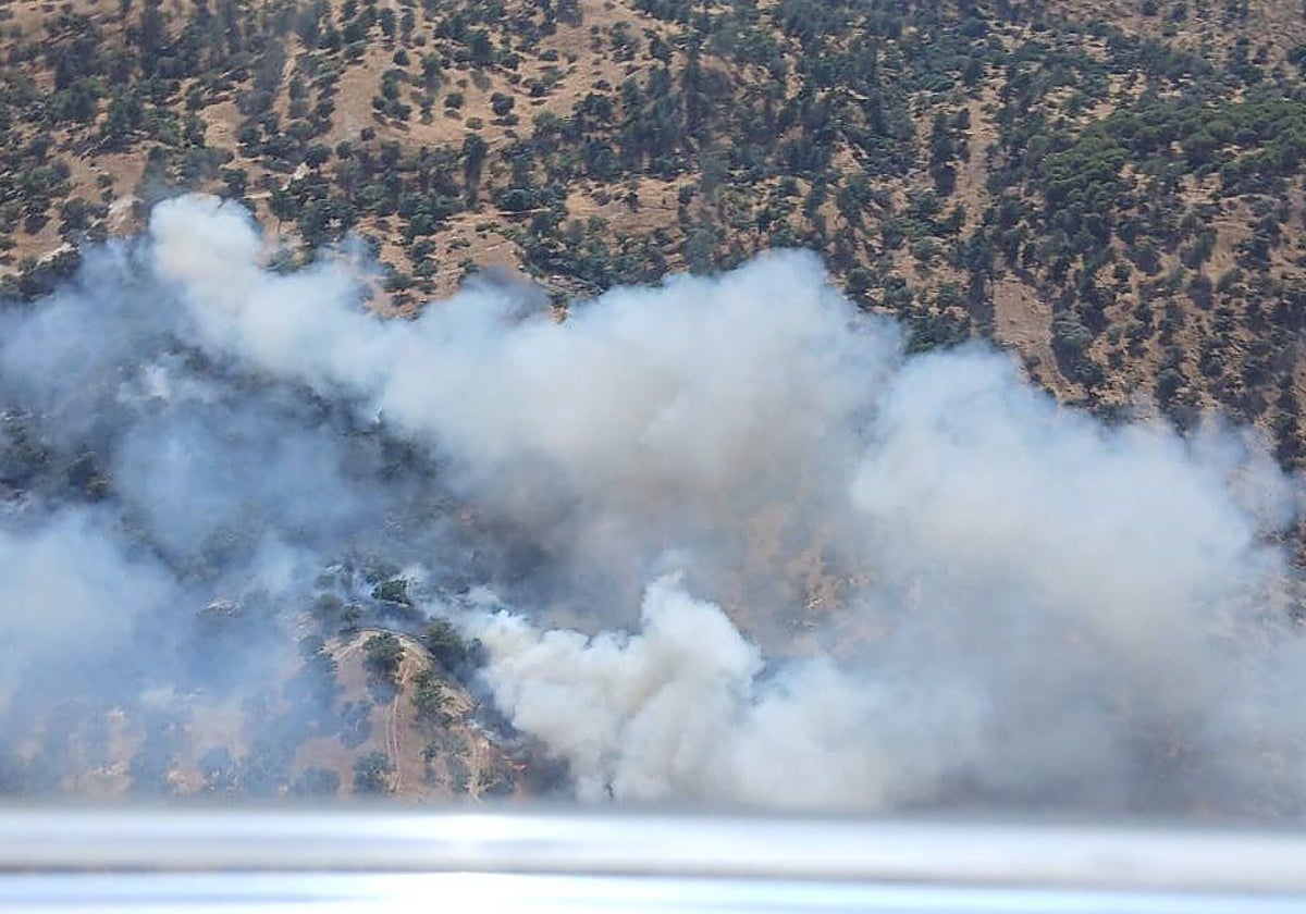 Vista de la zona incendiada en Cardeña