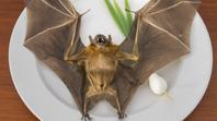 Imagen principal - Sopa de murciélago (Guam)