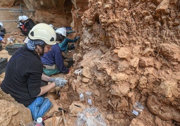 Encuentran en Atapuerca una falange de mano de Homo antecessor