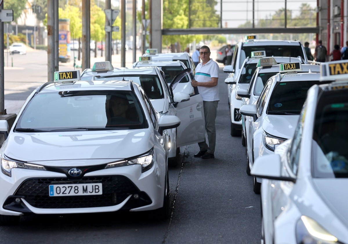 Taxistas y taxis, en la parada de la estación de tren 'Julio Anguita' de Córdoba