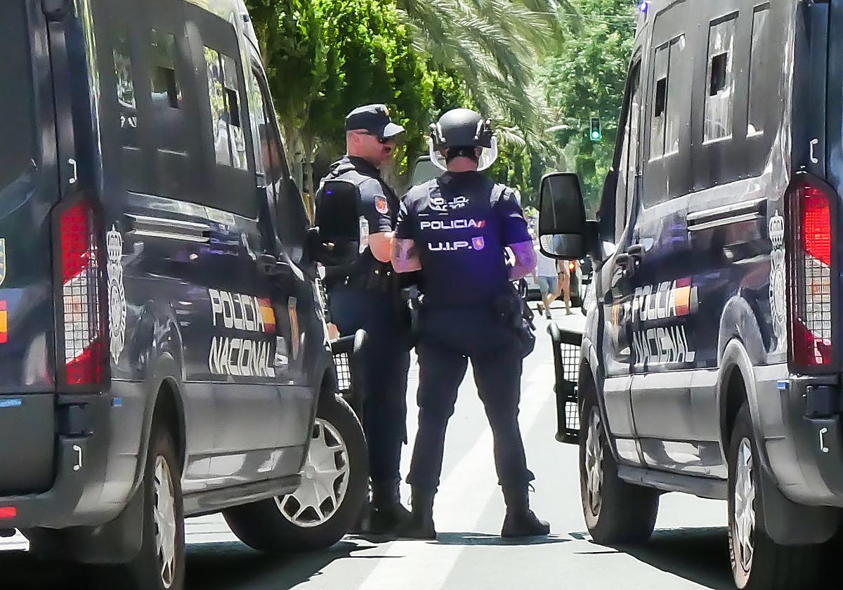 Dos agentes de la Policía Nacional durante una intervención