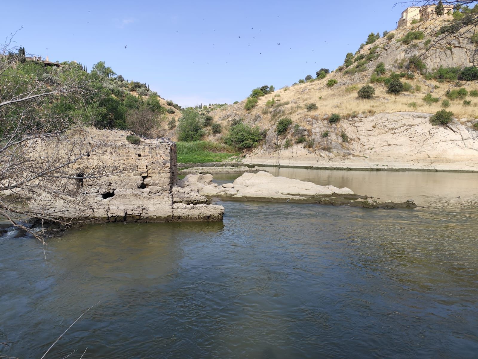 Las imágenes de la espectacular bajada del caudal del Tajo a su paso por Toledo