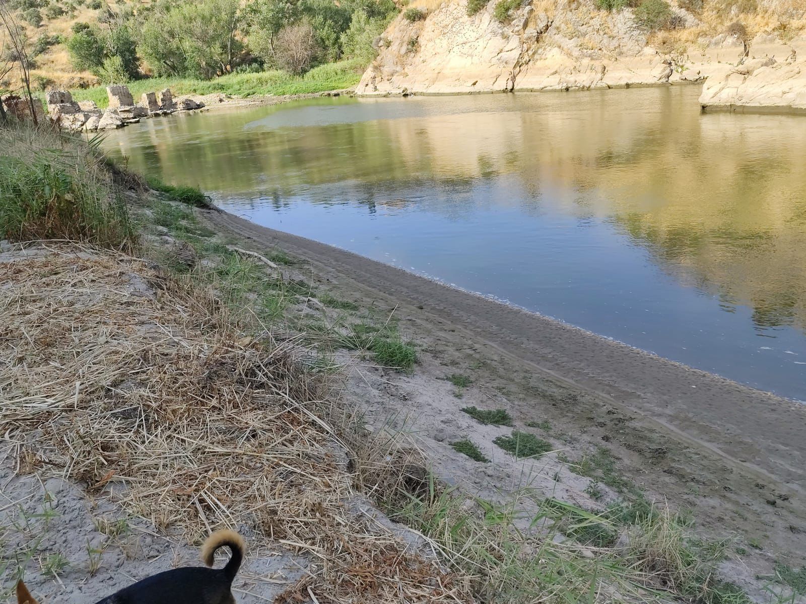 Las imágenes de la espectacular bajada del caudal del Tajo a su paso por Toledo