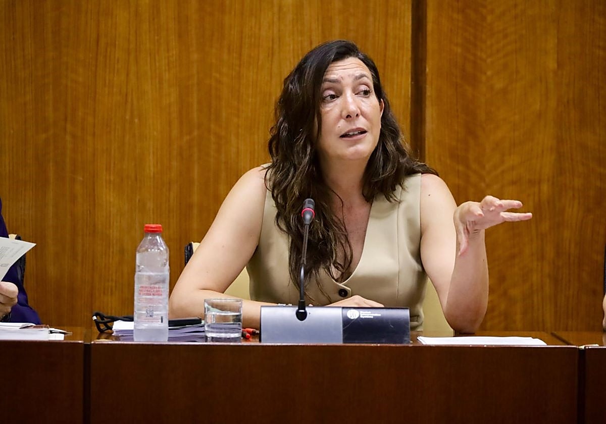 La consejera de Inclusión Social, Juventud, Familias e Igualdad, Loles López