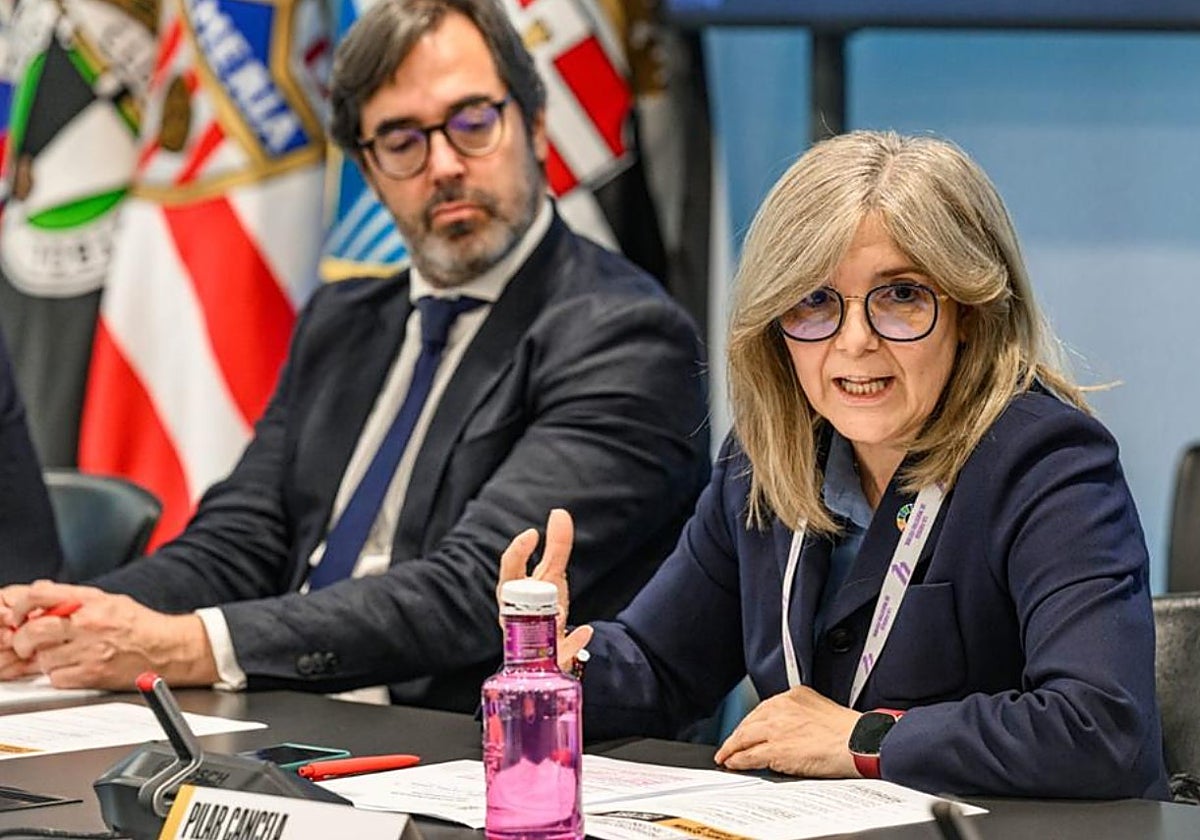 La secretaria de Estado de Migraciones, Pilar Cancela.