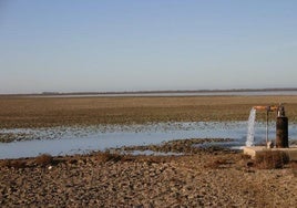 La Unesco advierte a España: Doñana entrará en la Lista de Patrimonio en Peligro si recupera el acuífero