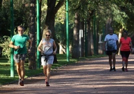 Córdoba revitaliza el Parque Cruz Conde: más accesible, iluminado y con nuevas zonas de ocio