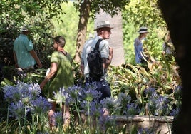 Las visitas gratuitas a los Jardines del Alcázar de Córdoba, en imágenes