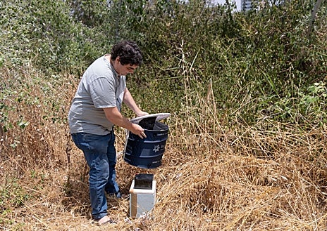 Imagen secundaria 1 - El nuevo plan andaluz de Salud mantiene a raya al Virus del Nilo