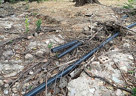 Imagen secundaria 1 - El bajo caudal del río deja ver este fin de semana una gran acumulación de residuos 