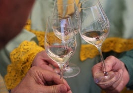 Un fino de Montilla-Moriles con menos grados de alcohol pero misma calidad y sabor: la investigación que lo ha hecho posible