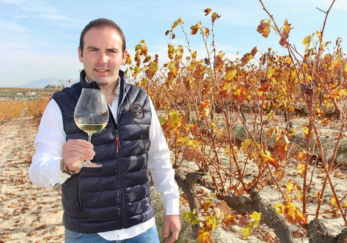 El gerente de Bodegas El Monte, Antonio López, en el viñedo en el marco de Montilla-Moriles durante la entrevista
