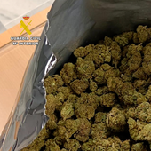 Detenido en Arrecife por intentar pasar el control con dos kilos de cogollos de marihuana en una bolsa