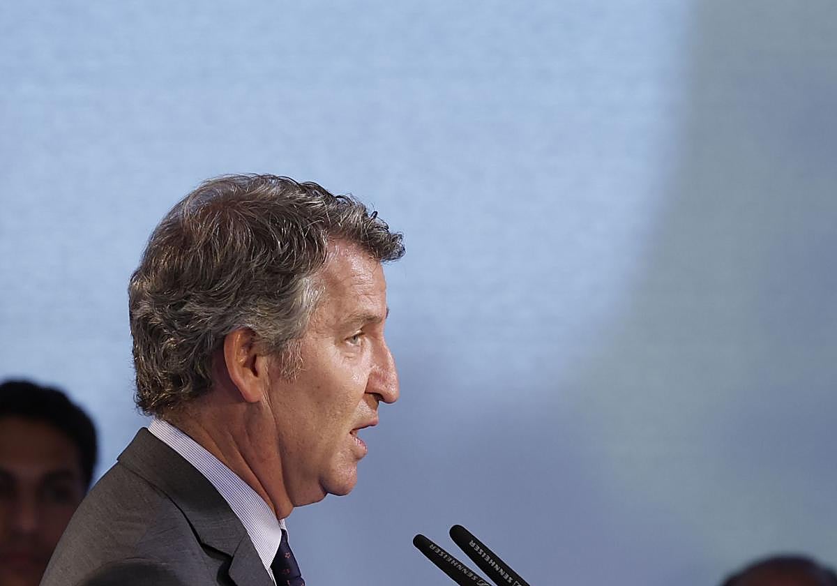 Alberto Núñez Feijóo, presidente del Partido Popular
