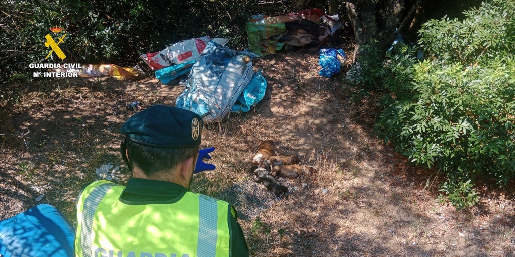 Mueren diez cachorros recién nacidos después de que su dueño los abandonara en el monte metidos en una bolsa