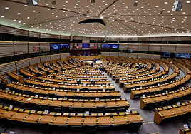 Expertos en derecho de la Unión Europea cuestionan las multas lingüísticas de la Generalitat a los comercios