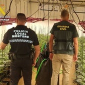 La Guardia Civil en su registro de las plantaciones de marihuana