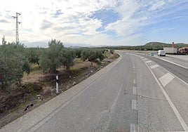 Mueren dos hombres en un accidente de tráfico en Alcaudete tras chocar contra unos olivos