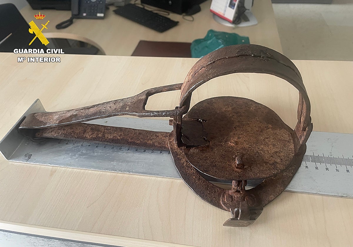 Imagen del cepo de caza ilegal con el que mataron a un perro en Castellón