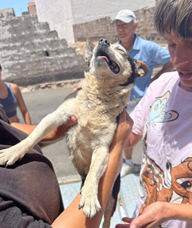 Imagen secundaria 2 - Así fue el rescate de Patuco de un contenedor soterrado donde fue arrojado vivo
